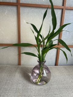 （分類：）位於 。 由 premimumsake 提交（商品編號 1411419018，圖片 1）。簡介： 。