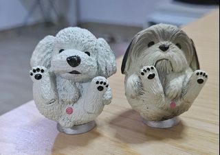 （分類：）位於 。 由 catdoggstore 提交（商品編號 1411428792，圖片 1）。簡介： 。