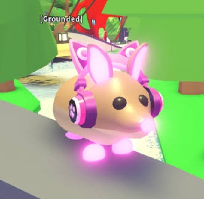 Adopt Me Neon Bandicoot (Category: In-Game Products) located in Pasay City. Submitted by pompompie (Listing ID 1411453526, Image 1). Description: Neon Bandicoot on Adopt Me (Aussie Egg).