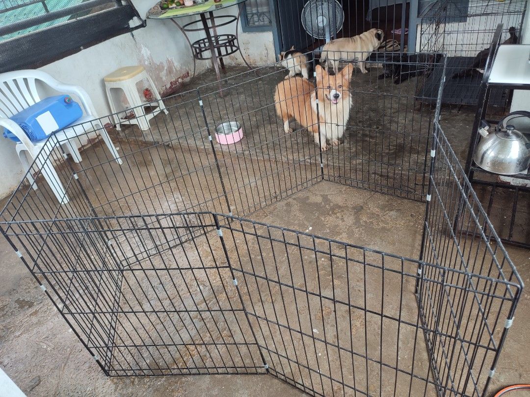 Dog cage (Category: Homes & Other Pet Accessories) located in Pasay City. Submitted by jenque (Listing ID 1411634021, Image 1). Description: almsot new pristine condition.once lng nagamit kasya 8 dogs😂.