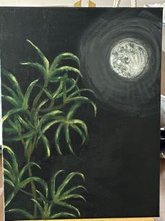 (Category: ) located in . Submitted by chiransilva01 (Listing ID 1411731660, Image 1). Description: .