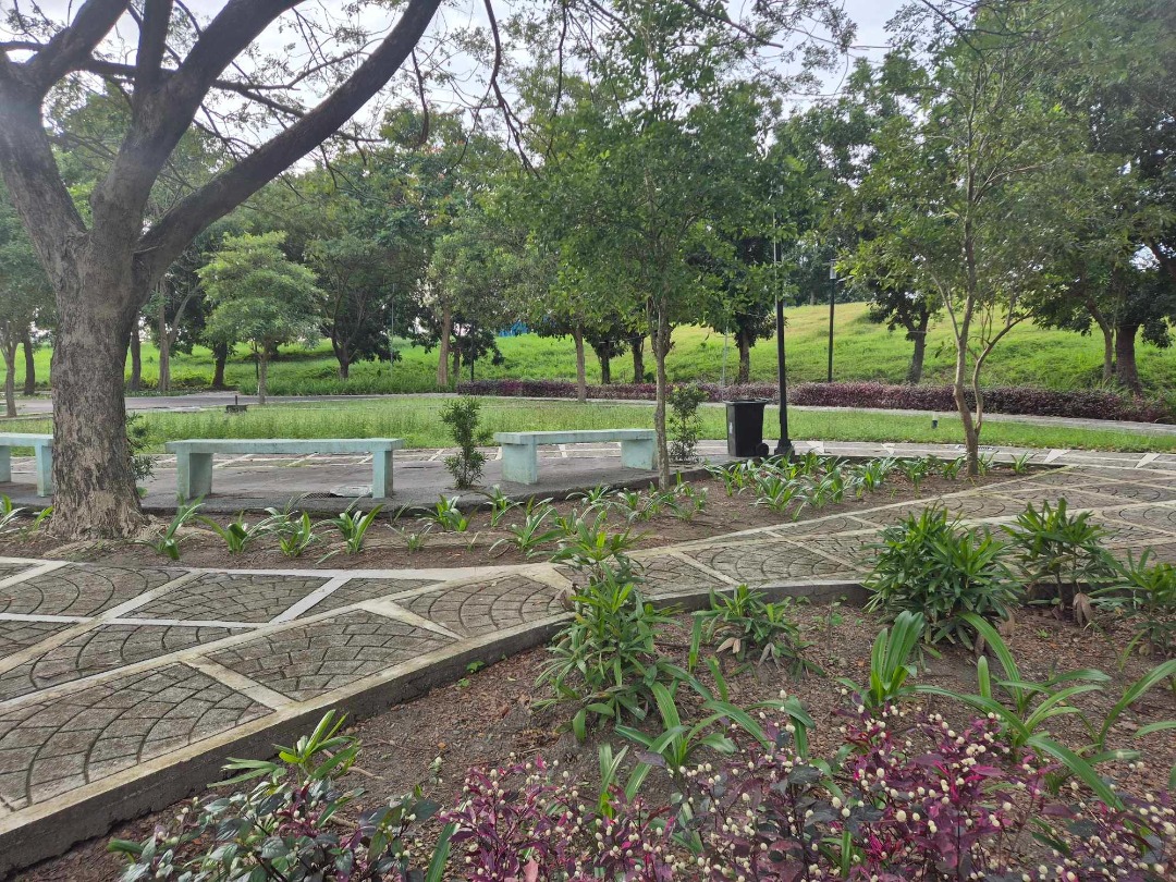 (Category: ) located in . Submitted by ms.dexie_bona (Listing ID 1411911738, Image 1). Description: .