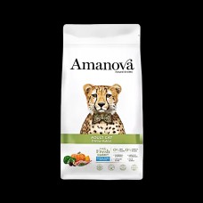 CAT FOOD & TREATS Collection item 3