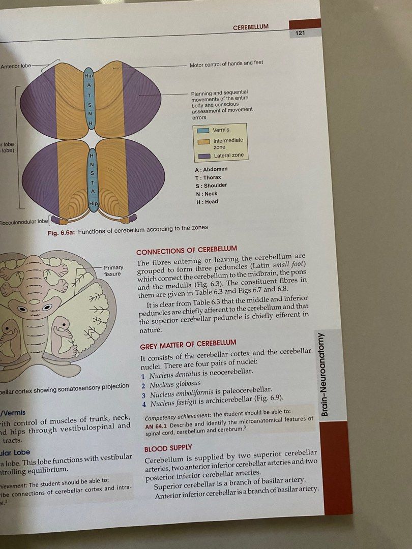 BD Chaurasia's Human Anatomy Volume 4 (Category: Textbooks) located in Cebu City. Submitted by geez_md (Listing ID 1411812416, Image 3). Description: Good for PLE review.