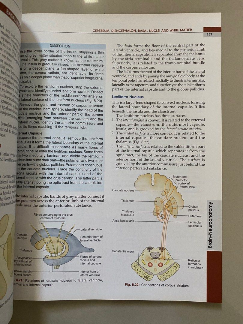 BD Chaurasia's Human Anatomy Volume 4 (Category: Textbooks) located in Cebu City. Submitted by geez_md (Listing ID 1411812416, Image 2). Description: Good for PLE review.