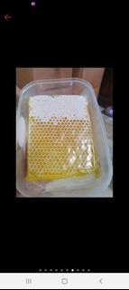 (Category: ) located in . Submitted by bene2017 (Listing ID 1411816269, Image 1). Description: .