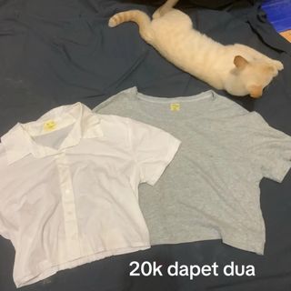 (Kategori: ) berada di . Dikirim oleh fboxx (ID iklan 1411951714, Gambar 1). Deskripsi: .