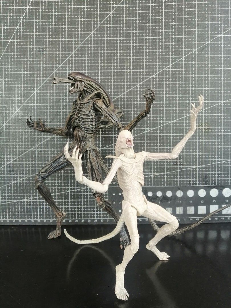 Protomorph Toy NECA ALIEN COVENANT NEOMORPH & XENOMORPH, Hobbies & Toys, Toys & Games ...
