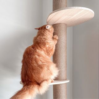 (Category: ) located in . Submitted by hello.hoomuta (Listing ID 1411920401, Image 1). Description: .