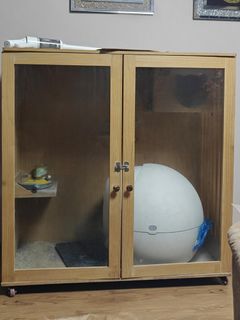 (Category: ) located in . Submitted by emah2016 (Listing ID 1319216163, Image 1). Description: .