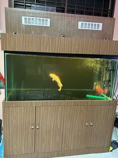 (Category: ) located in . Submitted by senkas03 (Listing ID 1412091573, Image 1). Description: .