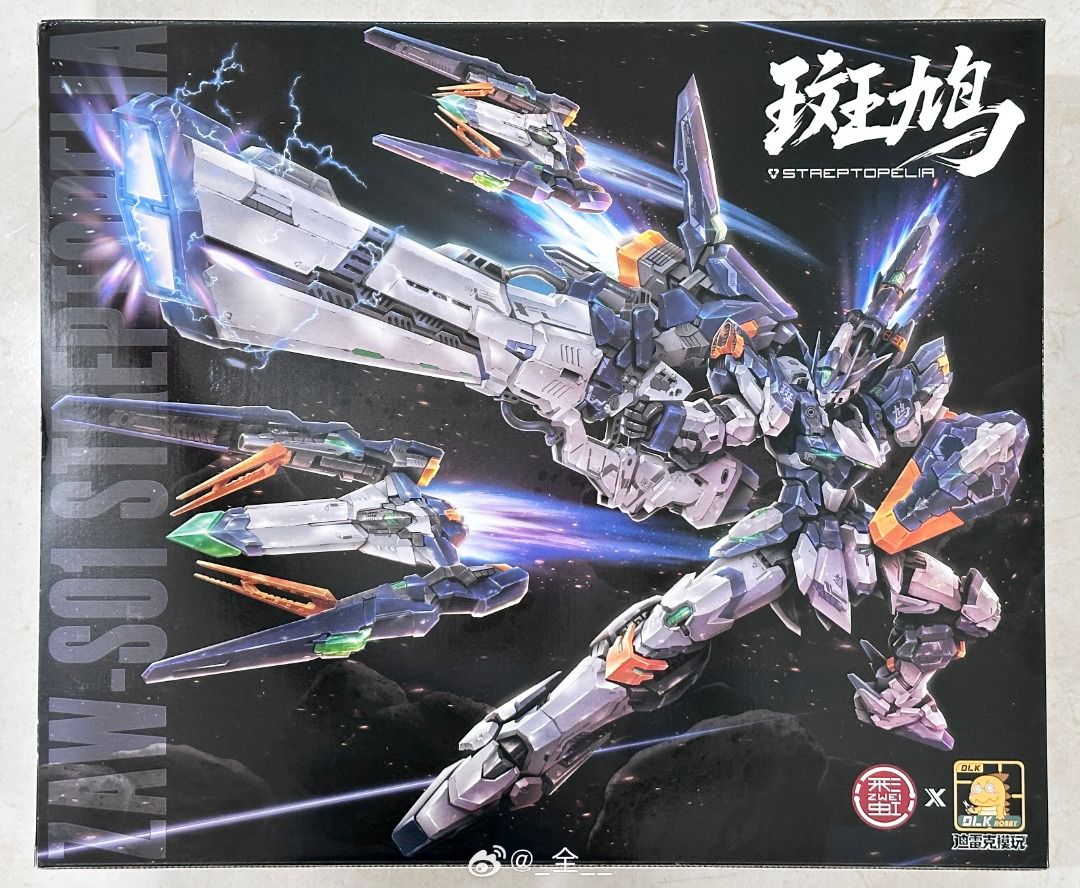 🔥 DLKHOBBY 迪雷克大林MG 1/100 ZAWS01 泛用宇宙型斑鳩拼裝模型, 玩具