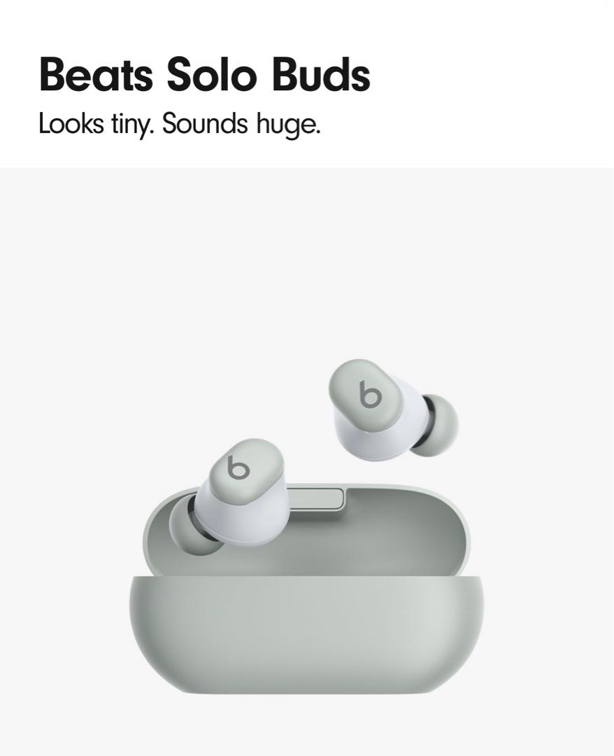 Beats Solo Buds - Storm Grey65076140076802111