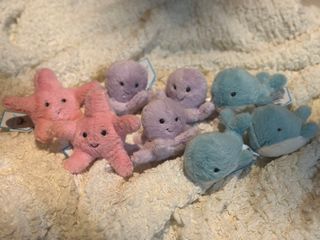 （分類：）位於 。 由 hideoutcloset 提交（商品編號 1412093786，圖片 1）。簡介： 。