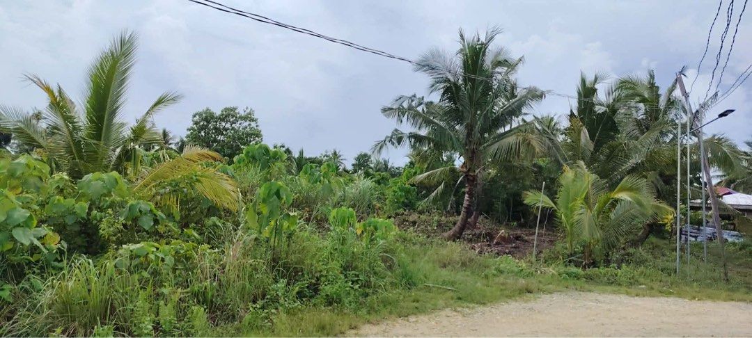 RUSH LOT FOR SALE - SIARGAO (Category: Lot) located in Bulacan. Submitted by katolmotoh12 (Listing ID 1412069756, Image 3). Description: 🌴 RUSH LOT FOR SALE – SIARGAO 🌴 💰 ₱15,000 per sqm (negotiable) 📍 General Luna, Siargao 📐 280 sqm lot with private access road 🚶 3 mins walk to Skatepark 🛵 7 mins ride to Cloud 9 & General Luna Boulevard ✔️ Prime & strategic location ✔️ Near tourism road ✔️ Near medical center & fire station ✔️ Ideal for r