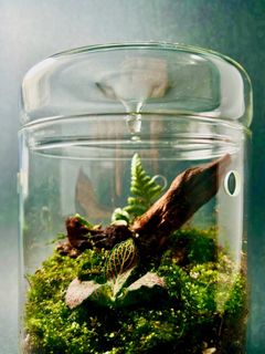 (Category: ) located in . Submitted by built_to_nature (Listing ID 1412115238, Image 1). Description: .