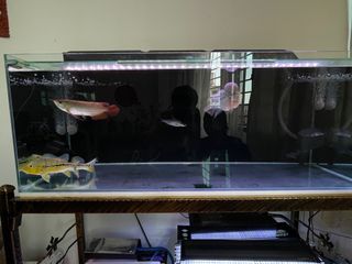(Category: ) located in . Submitted by dy121 (Listing ID 1412204088, Image 1). Description: .