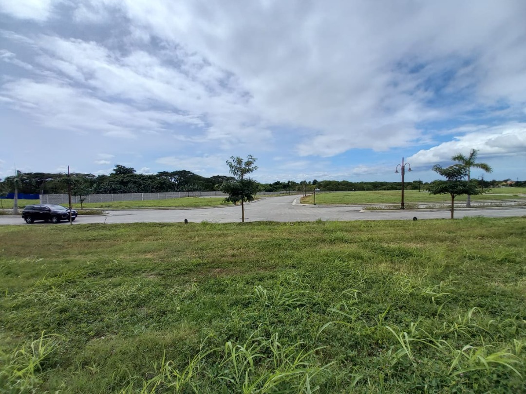 (Category: ) located in . Submitted by ms.dexie_bona (Listing ID 1412212788, Image 1). Description: .