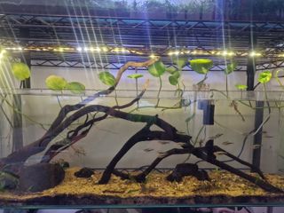 (Category: ) located in . Submitted by zeezeeeee (Listing ID 1412154825, Image 1). Description: .