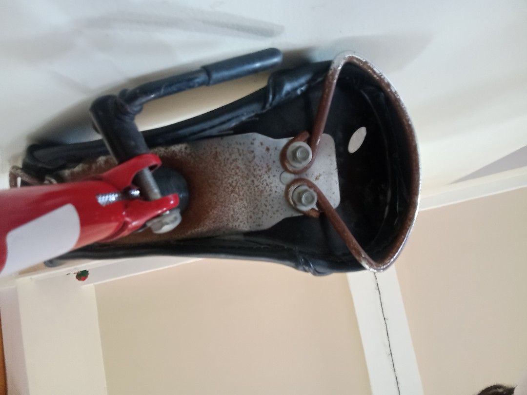 Japan surplus Balancing Bike (Category: Bicycles) located in Polangui. Submitted by cornerbags_shoes (Listing ID 1412256672, Image 3). Description: with visible rust.