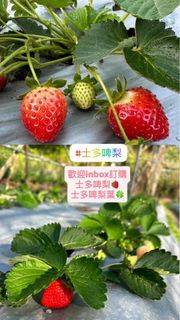 （分類：）位於 。 由 _delightgarden 提交（商品編號 1412139977，圖片 1）。簡介： 。
