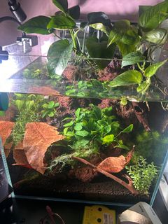 (Category: ) located in . Submitted by timelesstinker (Listing ID 1412263871, Image 1). Description: .