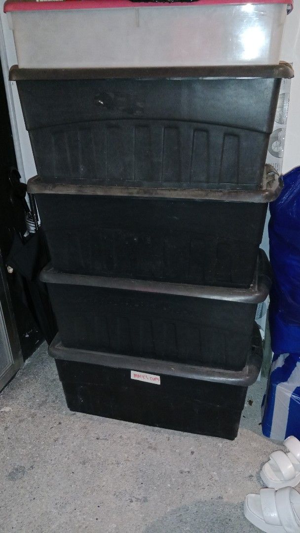 Stackable Storage Boxes (Category: Storage Boxes & Baskets) located in Las Pinas. Submitted by myraflores317 (Listing ID 1412141960, Image 1). Description: 4 pcs storage plastic boxes available storage plastic containers 250 each Length - 29 inches Width - 15 inches Height - 12 inches.