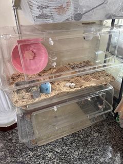 (Category: ) located in . Submitted by syd65 (Listing ID 1412171099, Image 1). Description: .