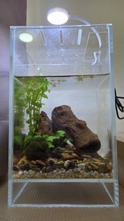 (Category: ) located in . Submitted by khxxr (Listing ID 1412345509, Image 1). Description: .