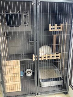 (Category: ) located in . Submitted by furpet (Listing ID 1412359385, Image 1). Description: .