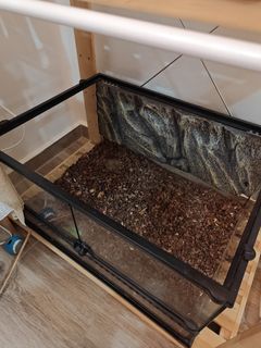 (Category: ) located in . Submitted by frogfish1117 (Listing ID 1412486500, Image 1). Description: .