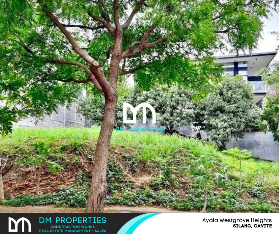 (Category: ) located in . Submitted by brokerdenise.09178166289 (Listing ID 1412339853, Image 1). Description: .
