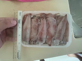 (Category: ) located in . Submitted by buibui28 (Listing ID 1398743893, Image 1). Description: .