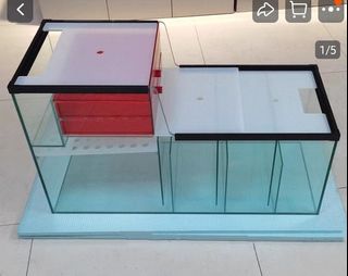 (Category: ) located in . Submitted by aquaticstore (Listing ID 1412349296, Image 1). Description: .