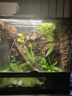 (Category: ) located in . Submitted by id360 (Listing ID 1412471413, Image 1). Description: .