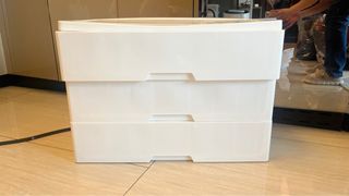 （分類：）位於 。 由 allthingsplants888 提交（商品編號 1412590395，圖片 1）。簡介： 。