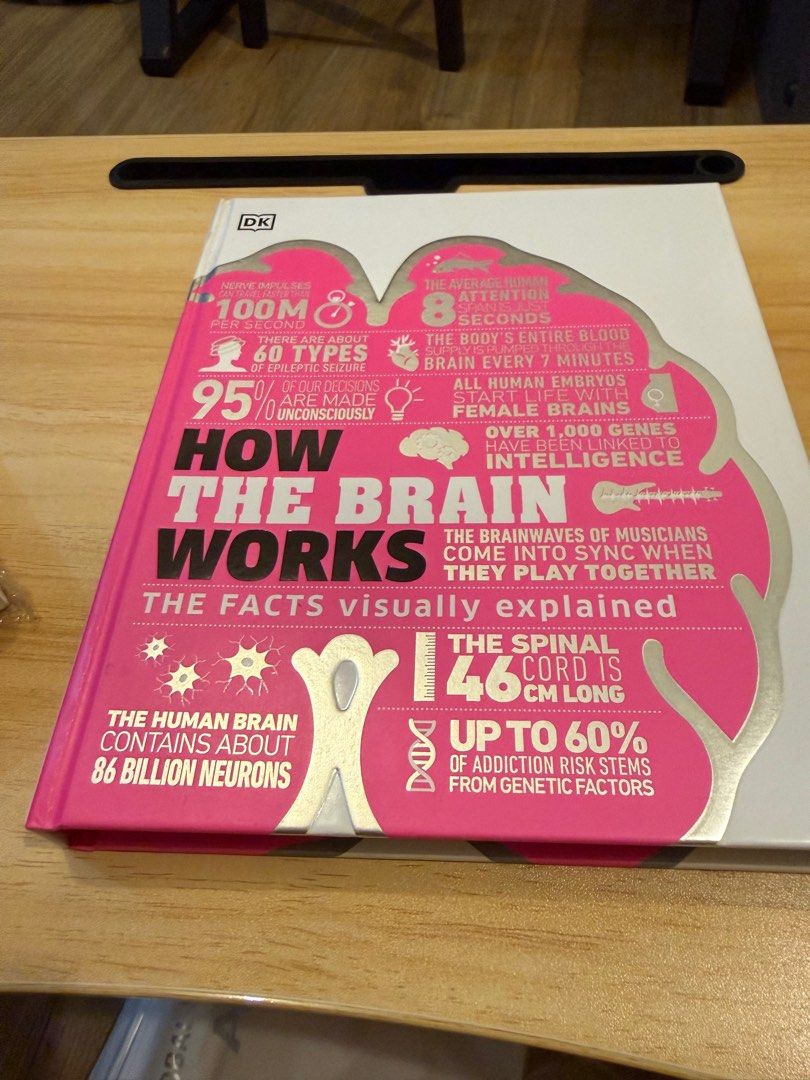 DK How The Brain Works Book (Category: Children's Books) located in Quezon City. Submitted by tuscanytree (Listing ID 1412675152, Image 3). Description: Like new Hardbound Binding intact No handwritings RFS Moving Houses.