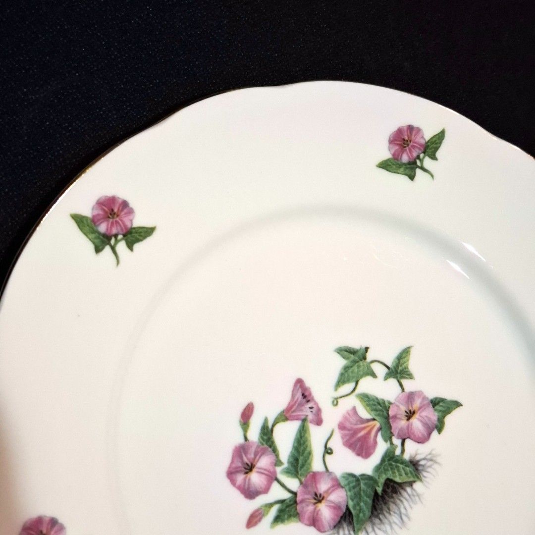 Duchess Fine Bone China Botanical Plate – Convolvulus arvensis – Made ...