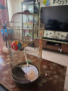 (Category: ) located in . Submitted by nachu.naseeruddin (Listing ID 1412541653, Image 1). Description: .