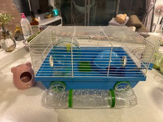 (Category: ) located in . Submitted by cng15 (Listing ID 1412677485, Image 1). Description: .