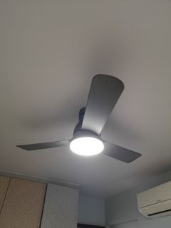 (Category: ) located in . Submitted by alicialgh (Listing ID 1412571435, Image 1). Description: .