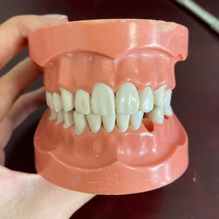 (Category: ) located in . Submitted by matchacreamcheese (Listing ID 1412601918, Image 1). Description: .