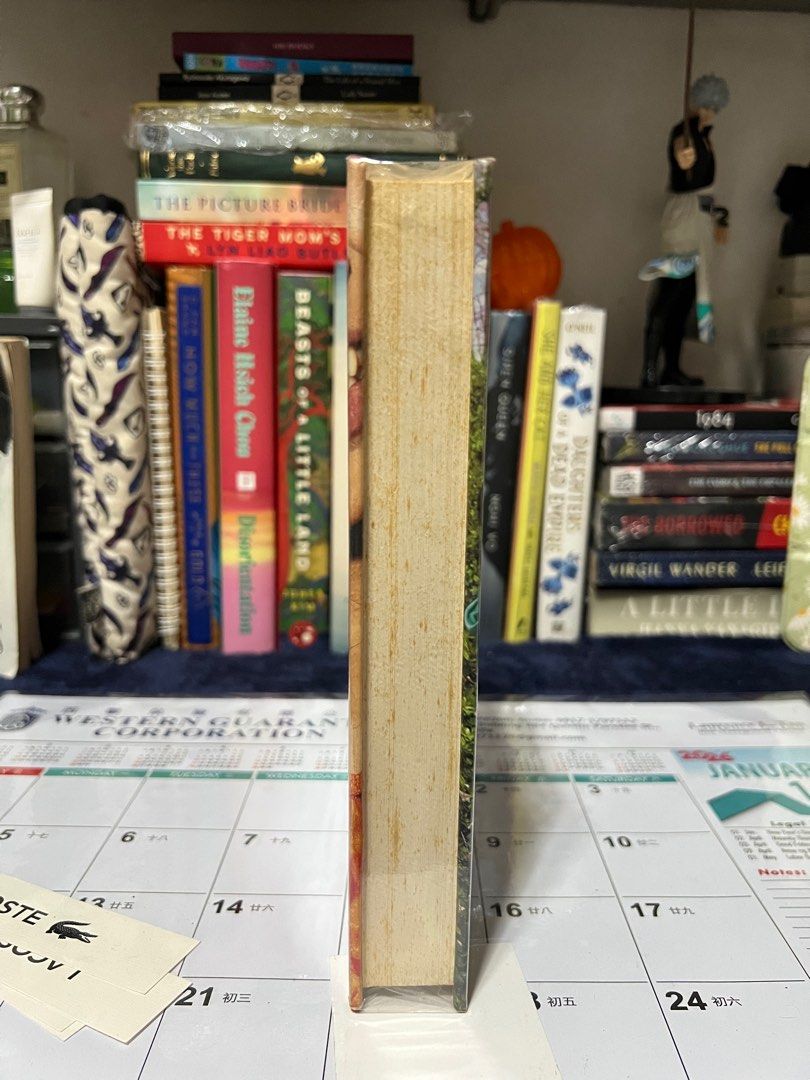 When Dimple Met Rishi by Sandhya Menon (Category: Storybooks) located in Manila. Submitted by machib (Listing ID 1412686360, Image 3). Description: - "When Dimple Met Rishi" by Sandhya Menon - Bought from National Bookstore - Never read, stains from storage #booktok #bookstagram #youngadult #literature.