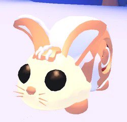 (Category: ) located in . Submitted by yrfavkayla (Listing ID 1412695856, Image 1). Description: .