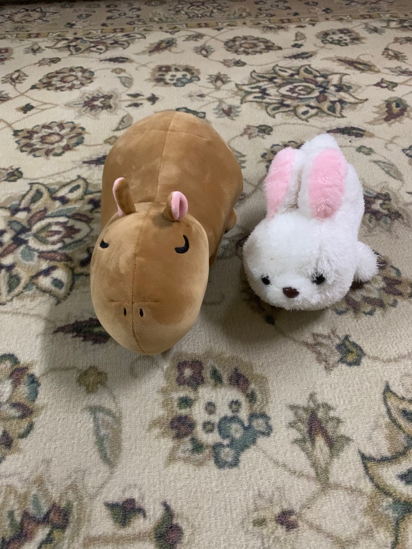 Capybara and Rabbit Plush Toys, Hobbies & Toys, Toys & Games on Carousell