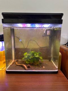 (Category: ) located in . Submitted by kfhm02 (Listing ID 1407870472, Image 1). Description: .
