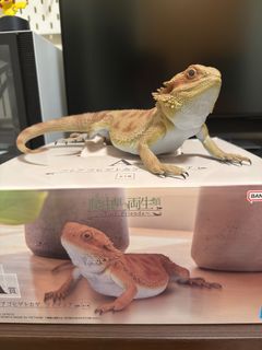 （分類：）位於 。 由 mysundaymorning 提交（商品編號 1407902307，圖片 1）。簡介： 。