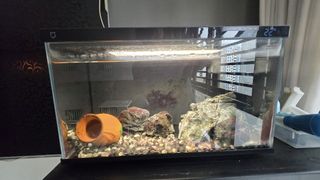 (Category: ) located in . Submitted by seacube80 (Listing ID 1407762764, Image 1). Description: .