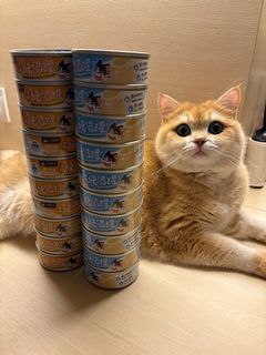 （分類：）位於 。 由 ct17273 提交（商品編號 1408024222，圖片 1）。簡介： 。