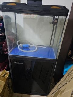 (Category: ) located in . Submitted by xaviera (Listing ID 1408030063, Image 1). Description: .